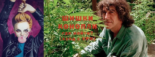 МДПВ Бронницы