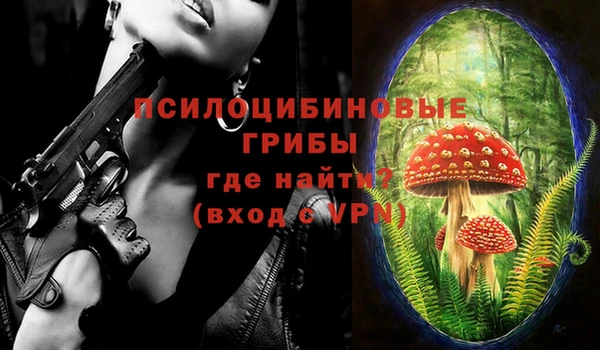 МДПВ Бронницы