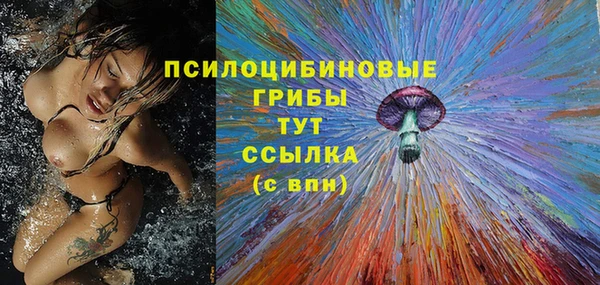 МДПВ Бронницы