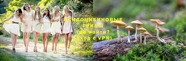 МДПВ Бронницы